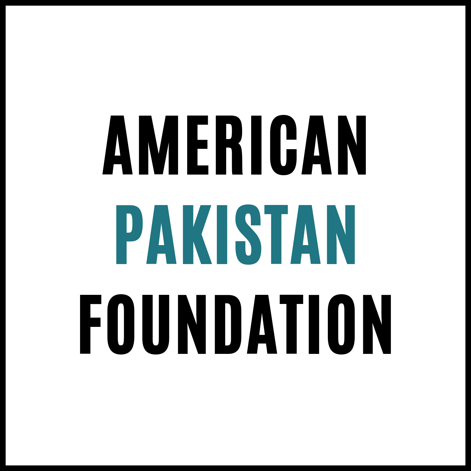American Pakistan Foundation logo